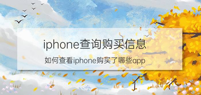 iphone查询购买信息 如何查看iphone购买了哪些app？